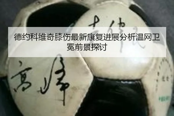 德约科维奇膝伤最新康复进展分析温网卫冕前景探讨